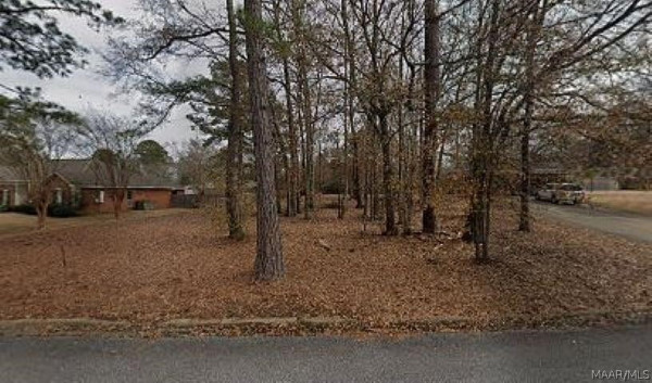 166 Elm Drive