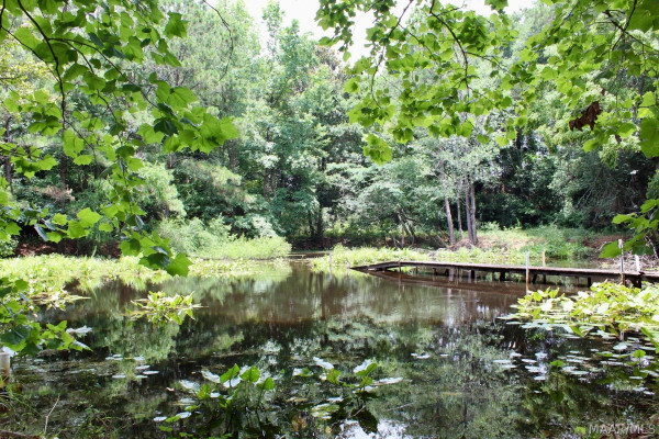 4451 AIRPORT Road