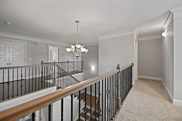 1317 Witherspoon Drive