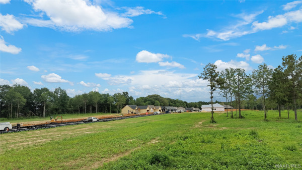 84 Lorie Lee Loop