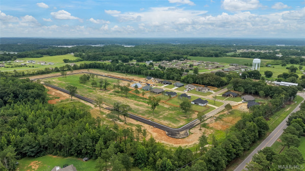 84 Lorie Lee Loop