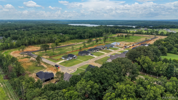 84 Lorie Lee Loop