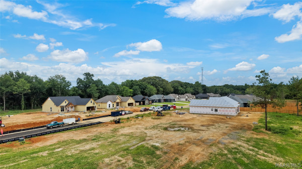 100 Lorie Lee Loop