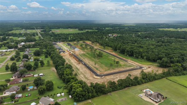 100 Lorie Lee Loop