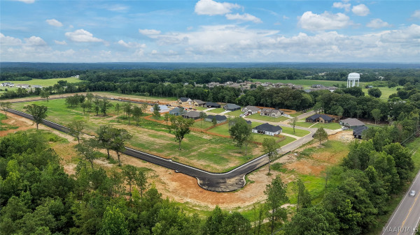 100 Lorie Lee Loop
