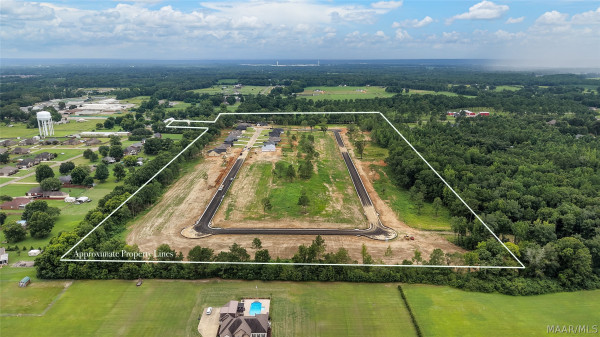 83 Lorie Lee Loop
