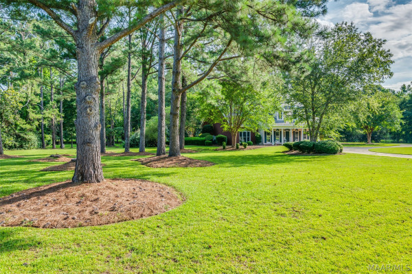 1000 Merrywood Drive