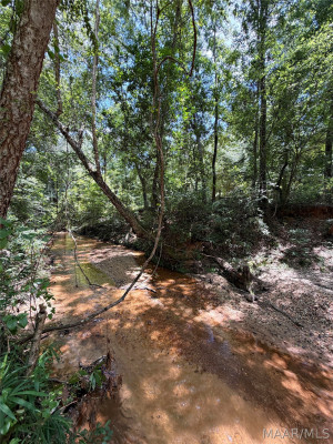 288 Woodhaven Lane
