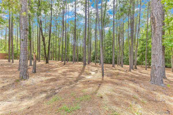 1493 County Road 81 Road