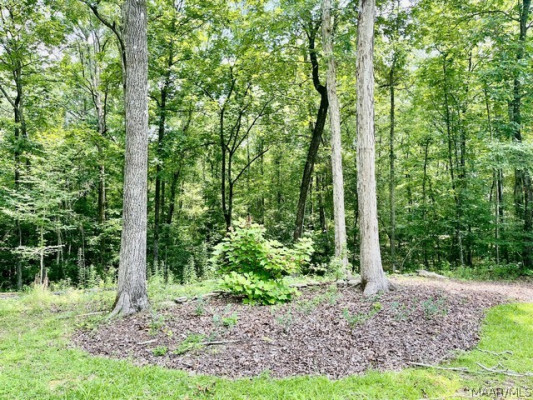 189 Buck Run Road