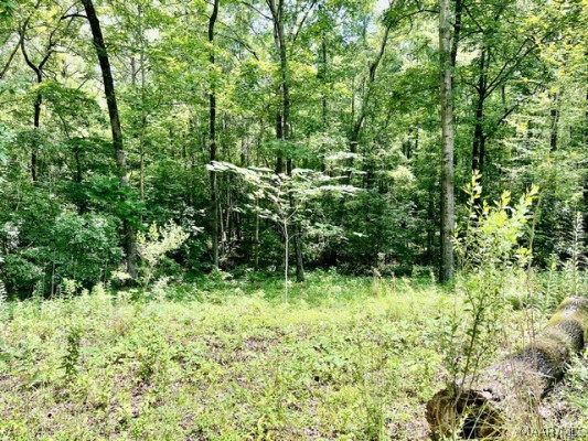 189 Buck Run Road