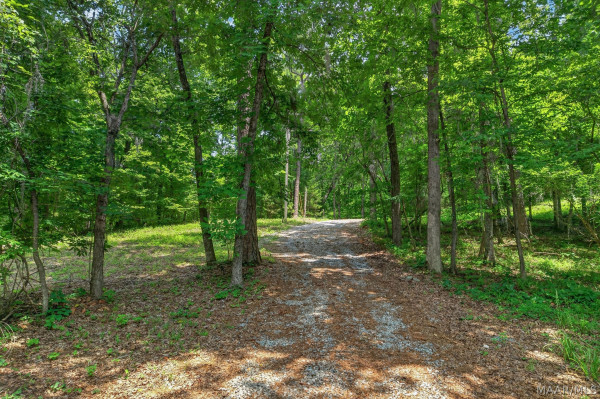 285 Ashwood Drive