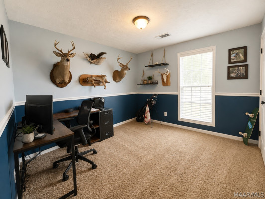 724 Buena Vista Loop