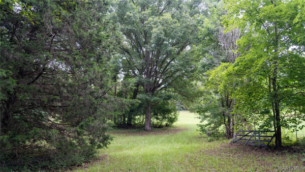 4388 County road 5 Road