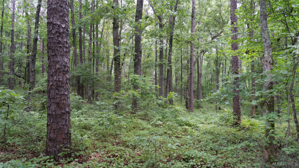 4388 County road 5 Road