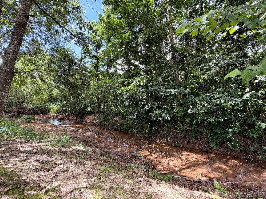 493 River Birch Circle