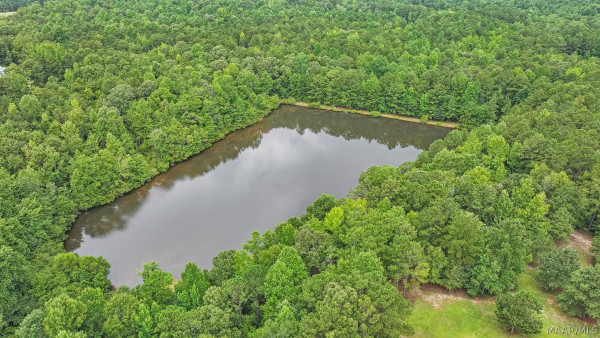 8799 CENTRAL PLANK Road