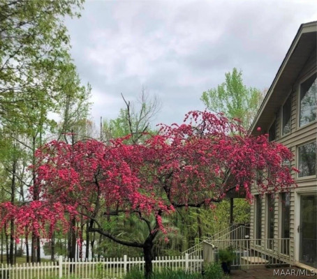 912 georgia Road