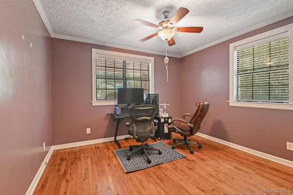 294 Elmore Road