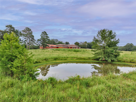 3695 Georgia Road