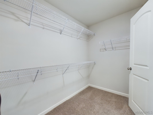 4001 Albion Court