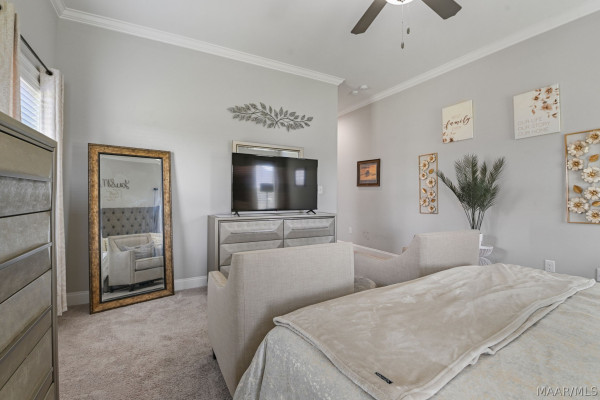 491 Midland Drive
