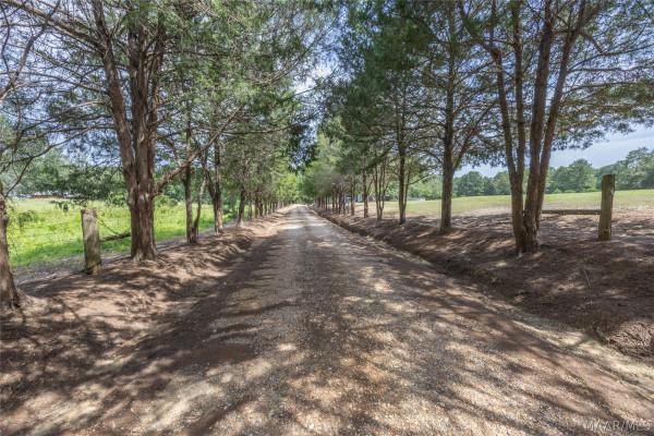 168 County Road 303 .