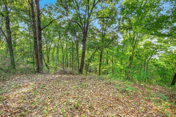 60 Cagle Bluff Court