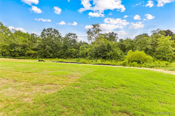 292 Madix Drive