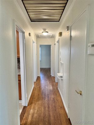 3556 Little John Drive