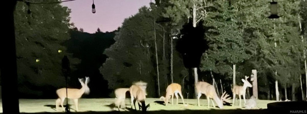 845 Whitetail Ridge