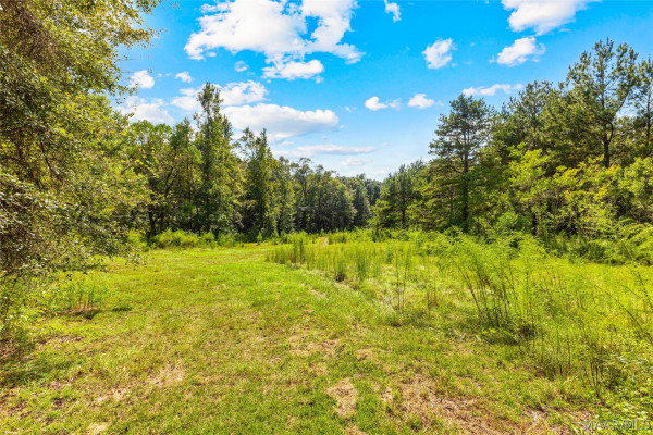 845 Whitetail Ridge
