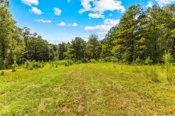 845 Whitetail Ridge