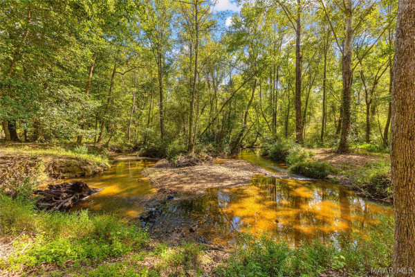 845 Whitetail Ridge