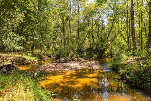 845 Whitetail Ridge