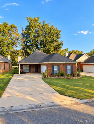 339 RIVER BIRCH Circle