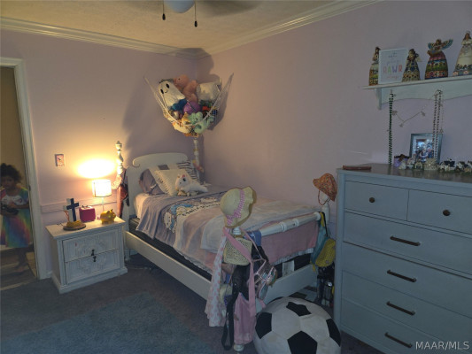 3513 Royal Carriage Drive
