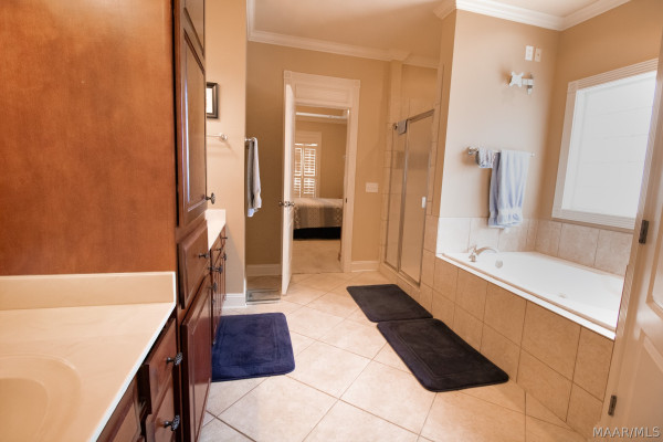1107 LAUREL BROOK Lane
