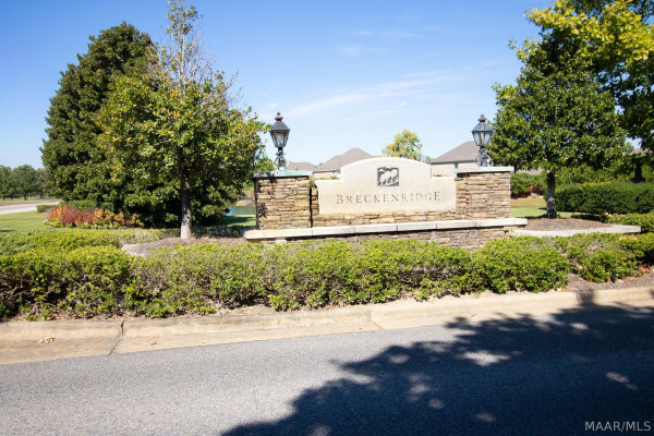 1107 LAUREL BROOK Lane